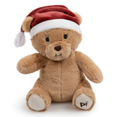 Petface Christmas Teddy Dog Toy