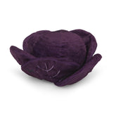 Petface Ruby Red Cabbage - Back
