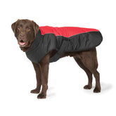 Sports Luxe Waterproof Dog Coat Black and Red by Danish Design