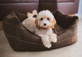 Cambridge Tweed Dog Bed
