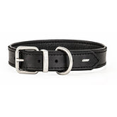 EzyDog Oxford Leather Classic Dog Collar