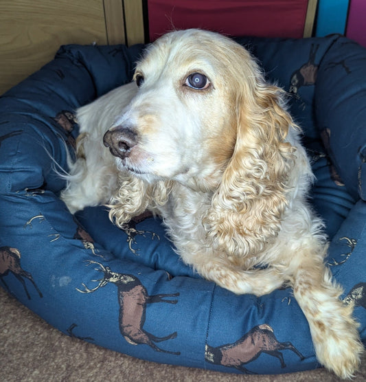 Amber the Cocker Spaniel in the Danish Design Woodland Stag Deluxe Slumber Dog Bed