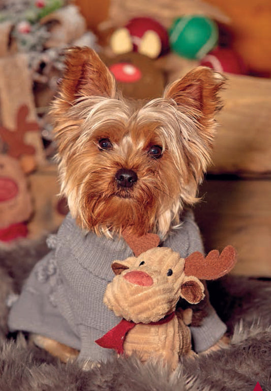 Christmas Gift Guide for Dog Owners