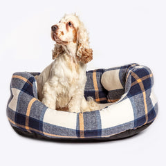 The Bowmore Deluxe Slumber Dog Bed with a dog sitting in the bed