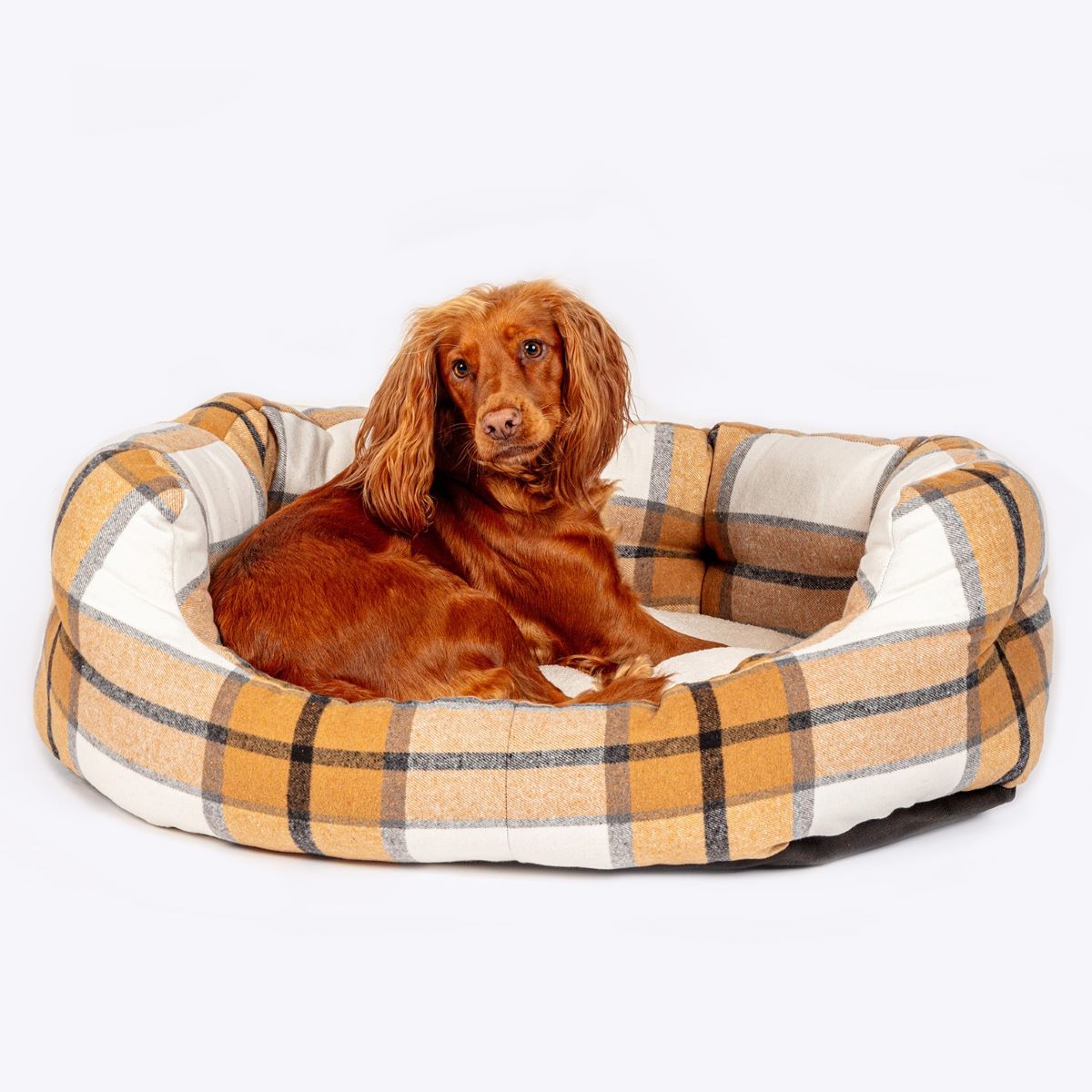 Dog lying on aDanish Design Bowmore Deluxe Slumber Dog Bed 