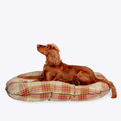 Danish Design Newton Moss Quilted Mattress Dog Bed with og laying down
