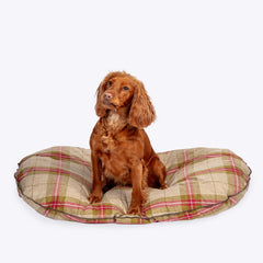 Danish Design Newton Moss Quilted Mattress Dog Bed with Dog
