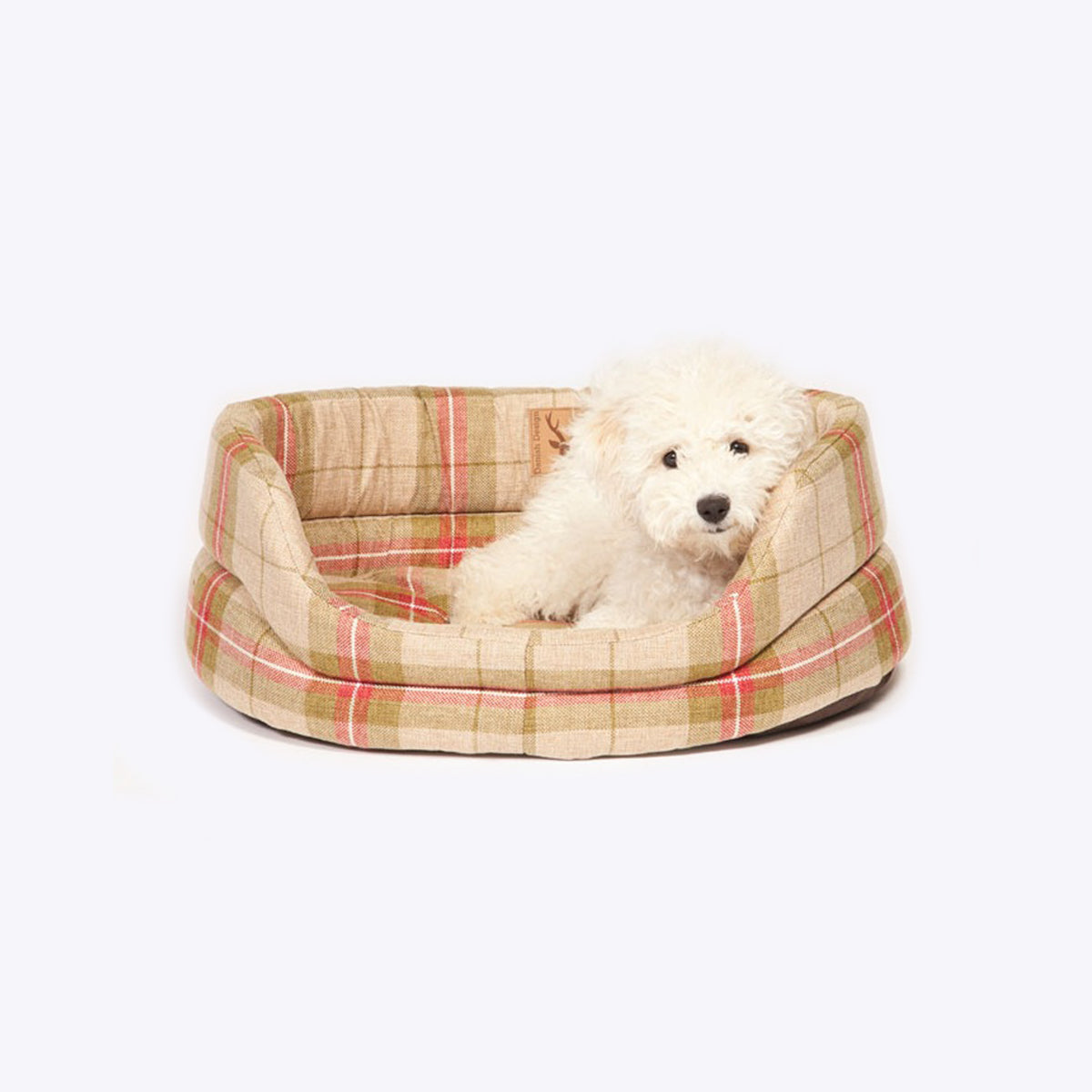 Danish Design Newton Moss Slumber Dog Bed with White Dog