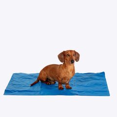 Danish Design Cooling Bundle