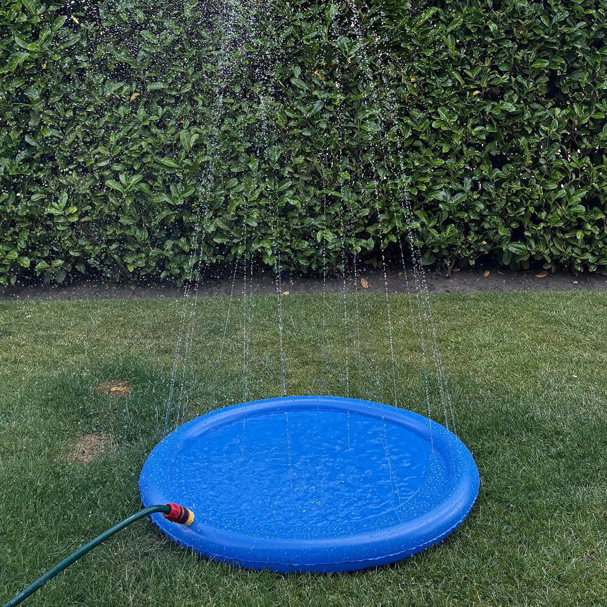 Danish Design Pet Cooling Water Sprinkler in use close up