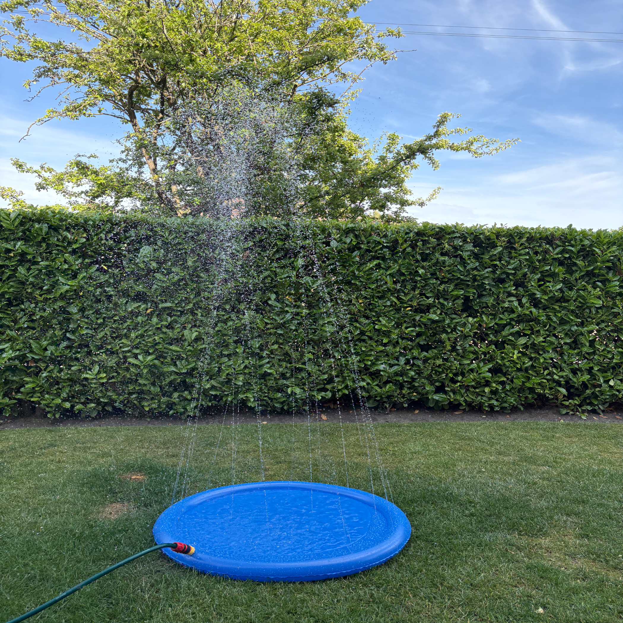 Danish Design Pet Cooling Water Sprinkler in use