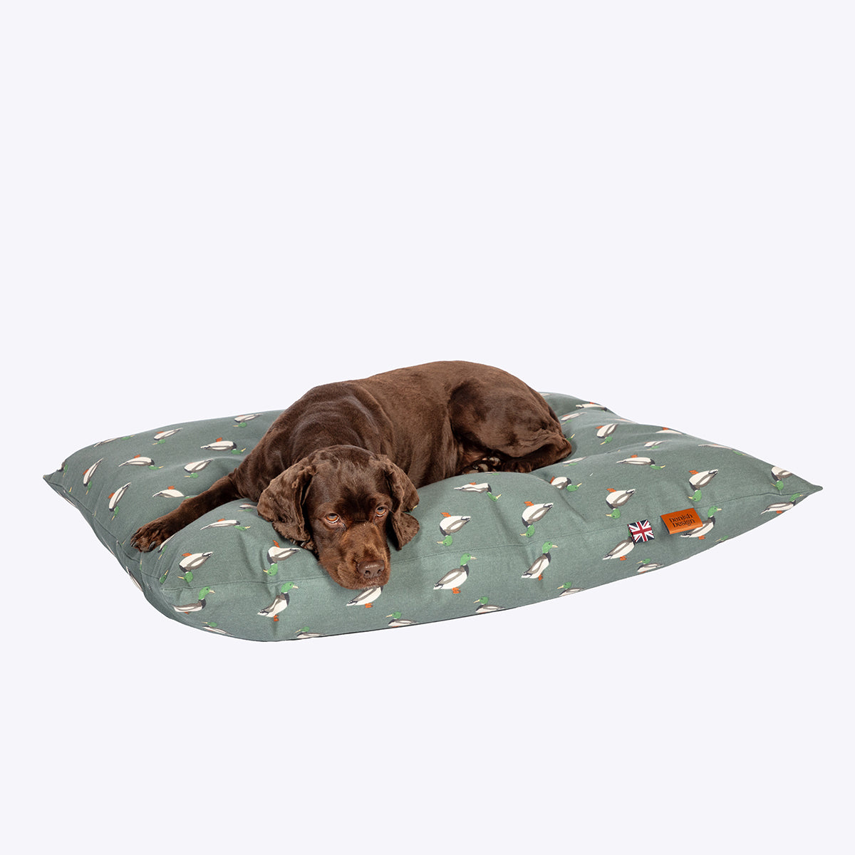Danish Design Puddlewick Deep Duvet Dog Bed featuring a duck print design on a smoky green background with brown labrador