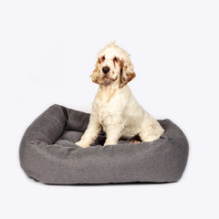 Danish Design Anti Bac Snuggle Dog Bed in Grey with dog #colour_grey