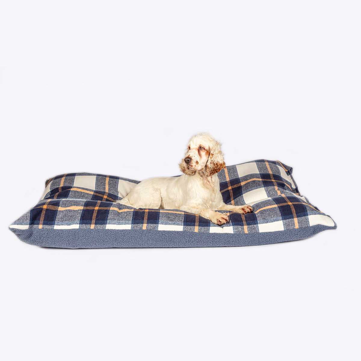 Danish Design Bowmore Navy Duvet Dog Bed with a dog laying on the bed