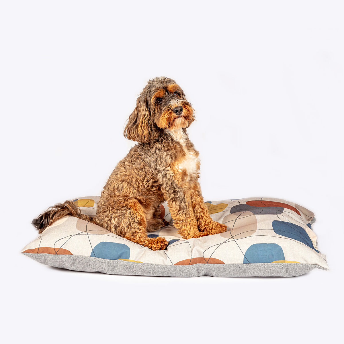 Danish Design Colour Block Deep Duvet Dog Bed Silver with Dog
