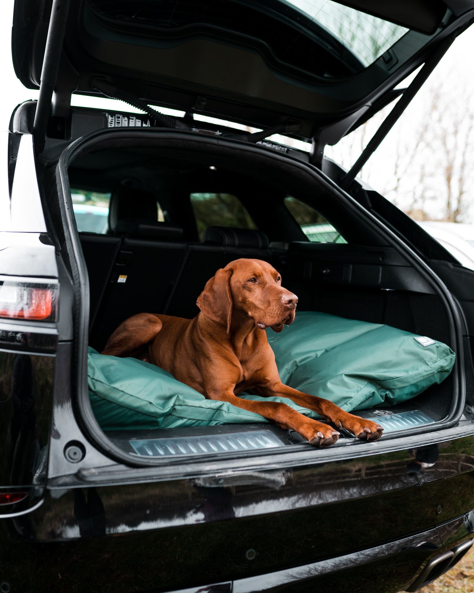 Danish Design County Deep Duvet Dog Bed in car boot