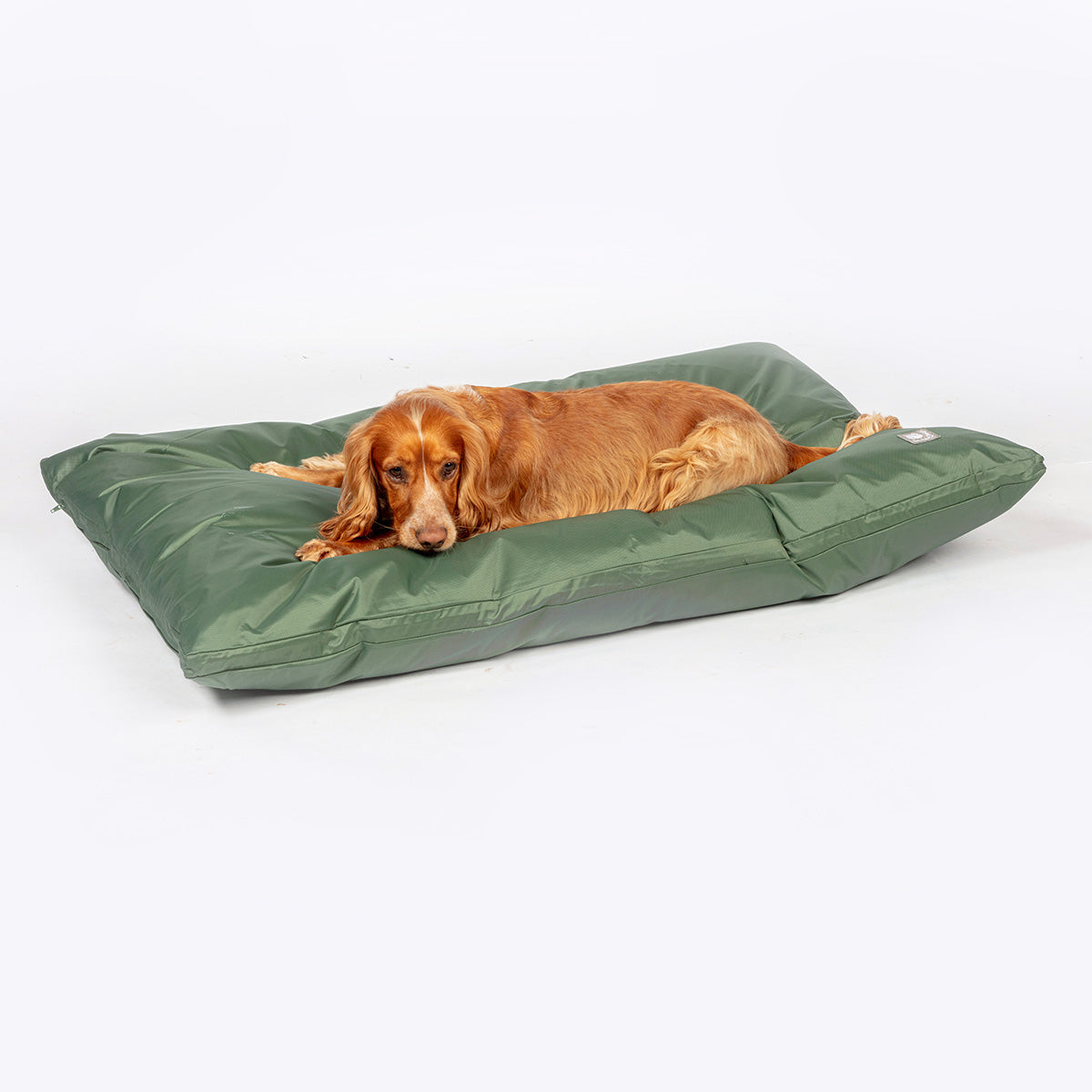 Danish Design County Deep Duvet Dog Bed witb Dog