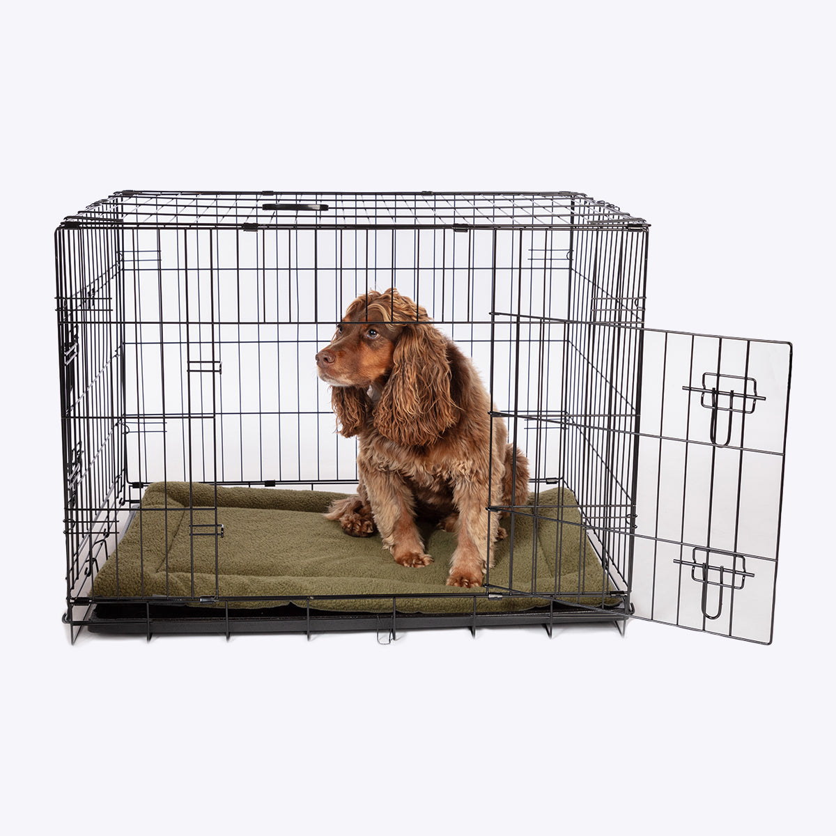 Danish Design Crate Mattress in Olive with Dog #colour_olive