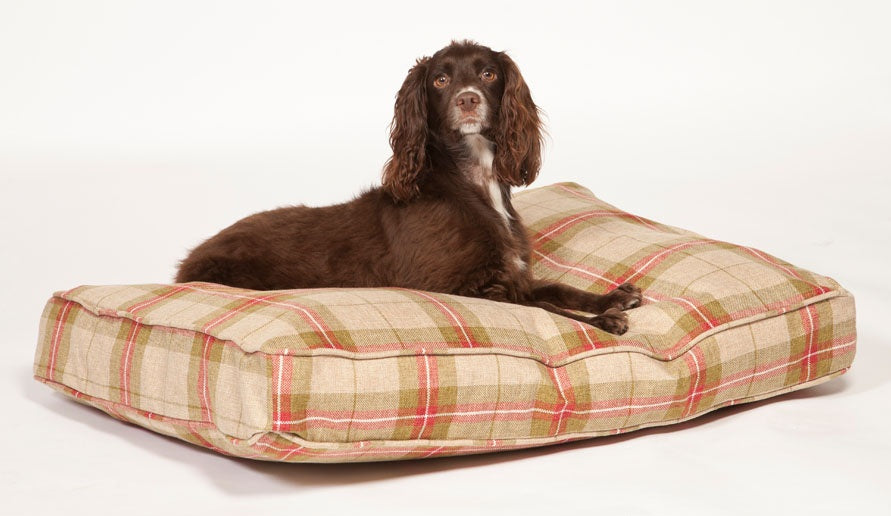 Danish Design Newton Moss Box Duvet Dog Bed with Dog