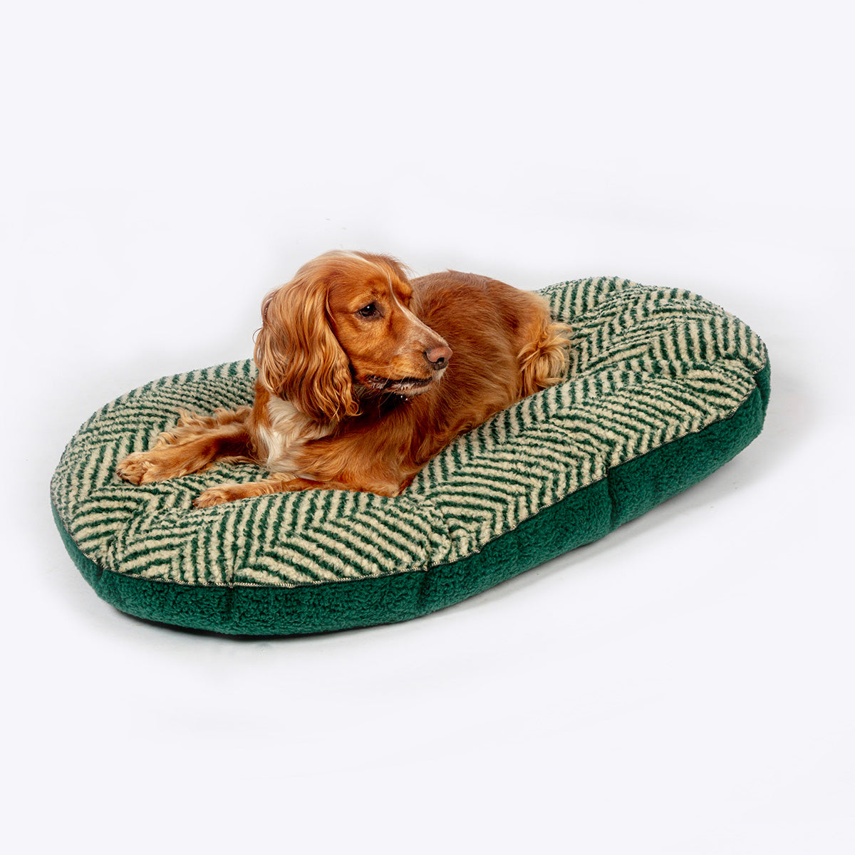Danish Design Sherpa Fleece Quilted Mattress Dog Bed in Green Herringbone design with dog laying on the bed