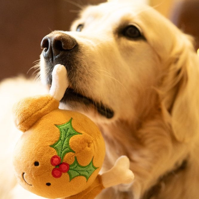 Dog playing with a plush toy resembling a roast turkey