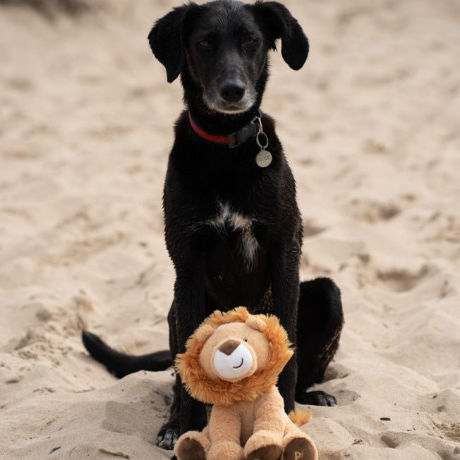 Luis Lion Plush Dog Toy with Dog