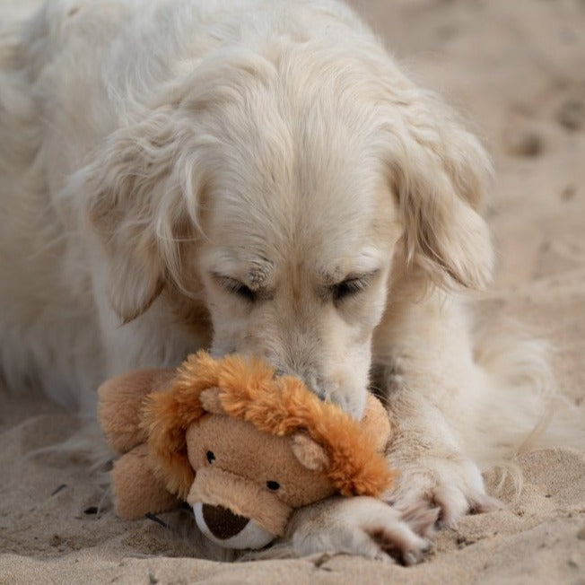 Luis Lion Plush Dog Toy with Dog