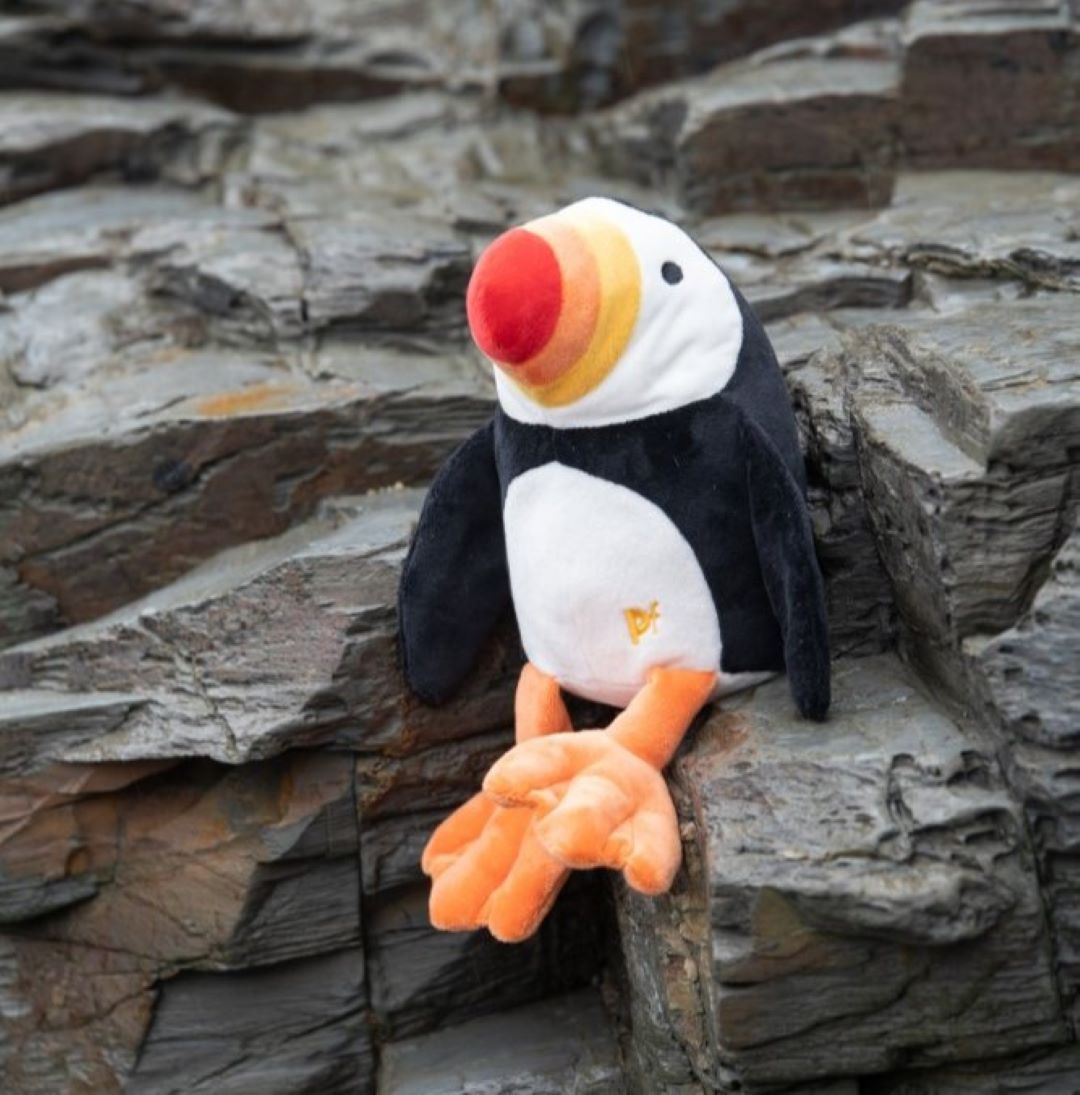 Petface Pana Puffin Plush Dog Toy Sitting on Rocks