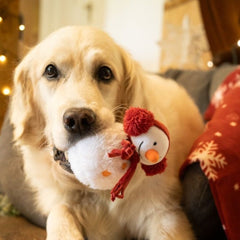 Petface Snowman Plush Christmas Dog Toy