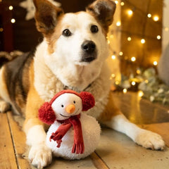 Petface Snowman Plush Christmas Dog Toy