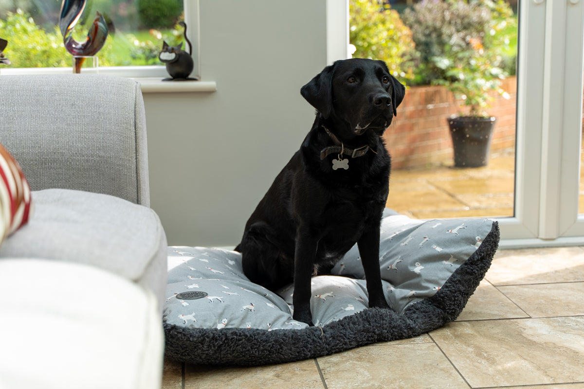 Snug & Cosy Townsend Lounder Dog Bed with Dog