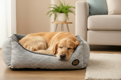 Snug and Cosy Grey Polka Dot Dog Bed