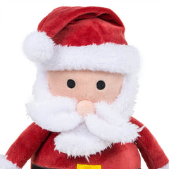 Squeaky Santa Dog Toy