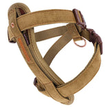 Chest Plate Harness