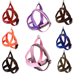 EzyDog Quick Fit Harness Showing All Colours