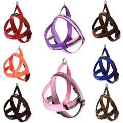 EzyDog Quick Fit Harness Showing All Colours
