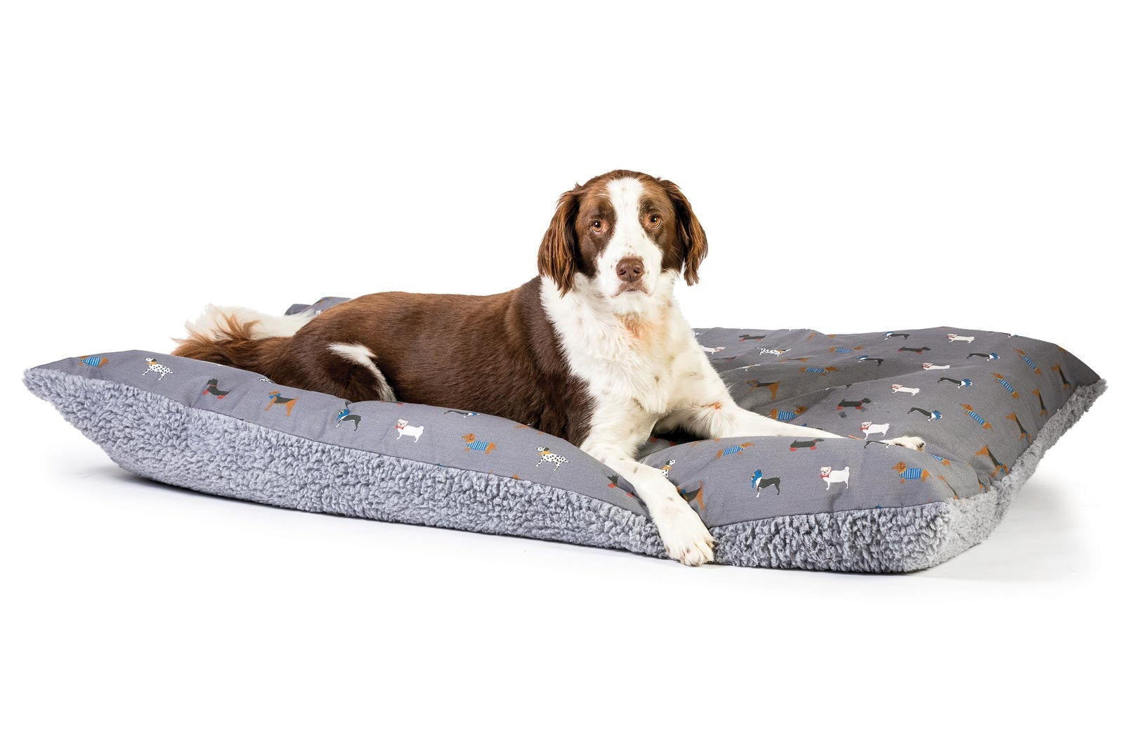 FatFace Marching Dogs Deep Duvet Dog Bed  with Dog