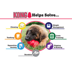 KONG Classic Dog Toy