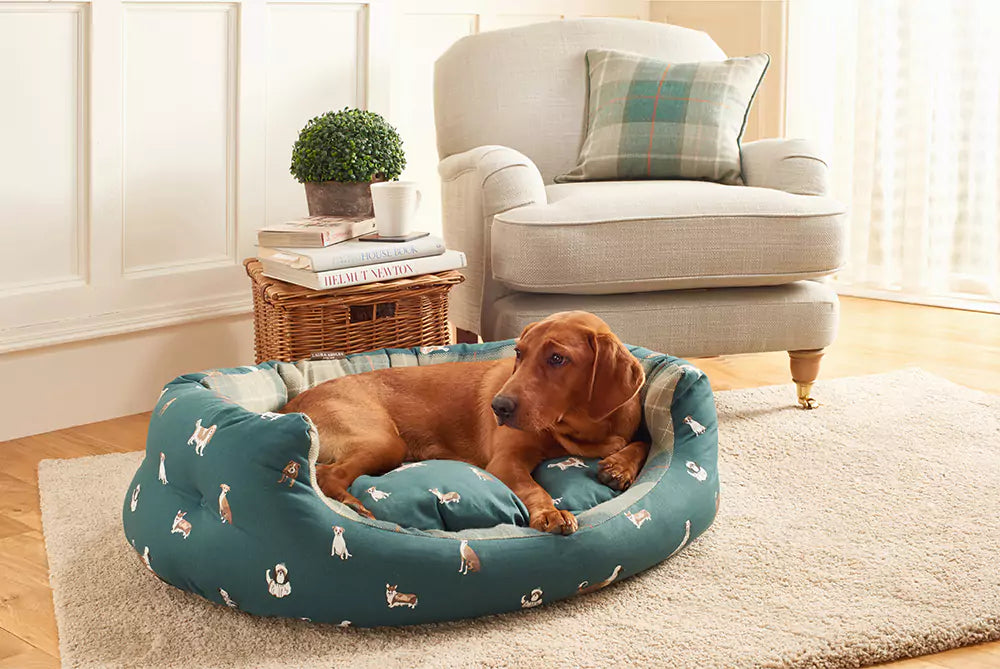 Laura Ashley Park Dogs Deluxe Slumber Dog Bed in Room Setting