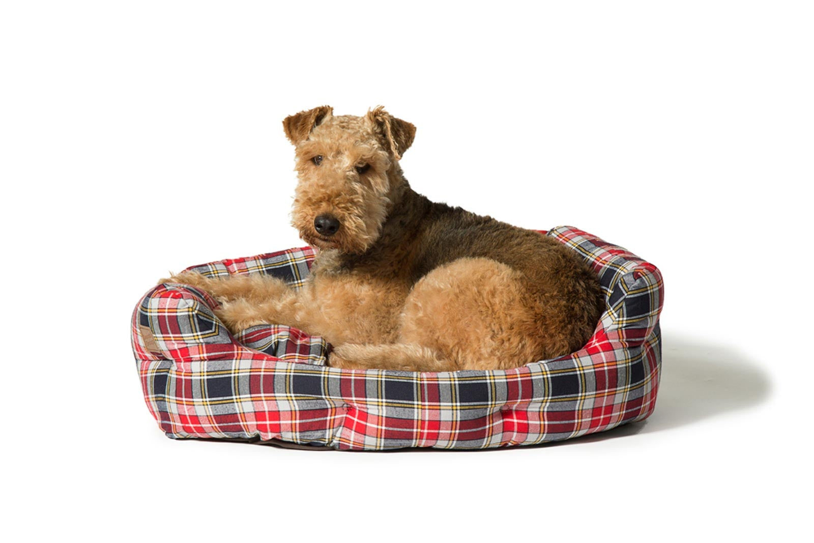 Danish Design Lumberjack Deluxe Slumber Dog Bed-Red/Grey-Large with Dog