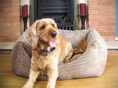 San Remo Dog Bed