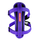 Chest Plate Harness