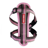 Chest Plate Harness