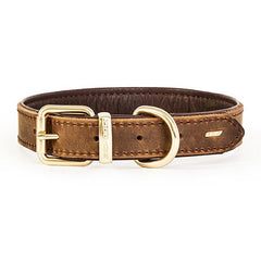 EzyDog Oxford Leather Classic Dog Collar